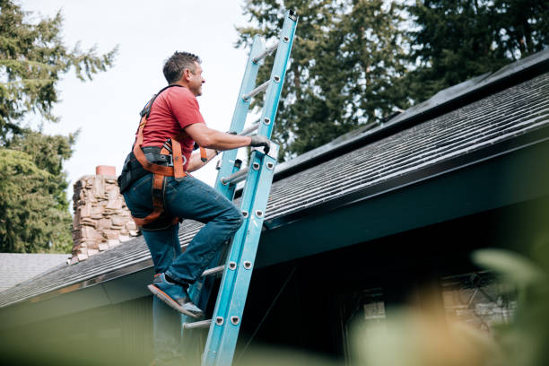 Best Skylight Installation and Repair  in Coralville, IA