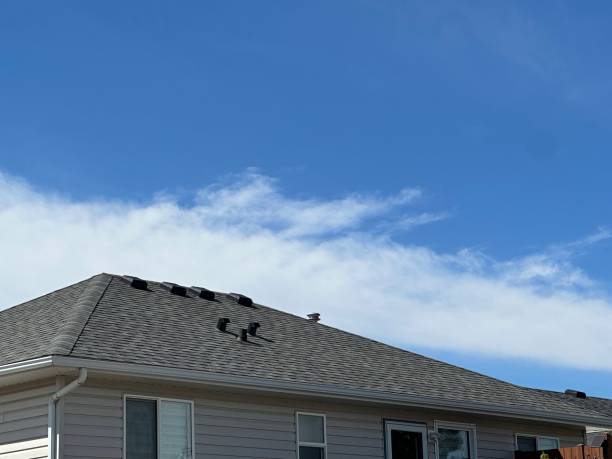 Best 4 Ply Roofing  in Coralville, IA
